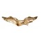 Civil Aeronautics Pilot pin 